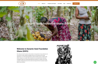 Dynamic Seed Foundation Ghana  <br/> Website Design